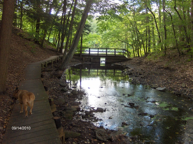Chenango Valley State Park Invites Maine-Endwell Residents for Summer Recreation