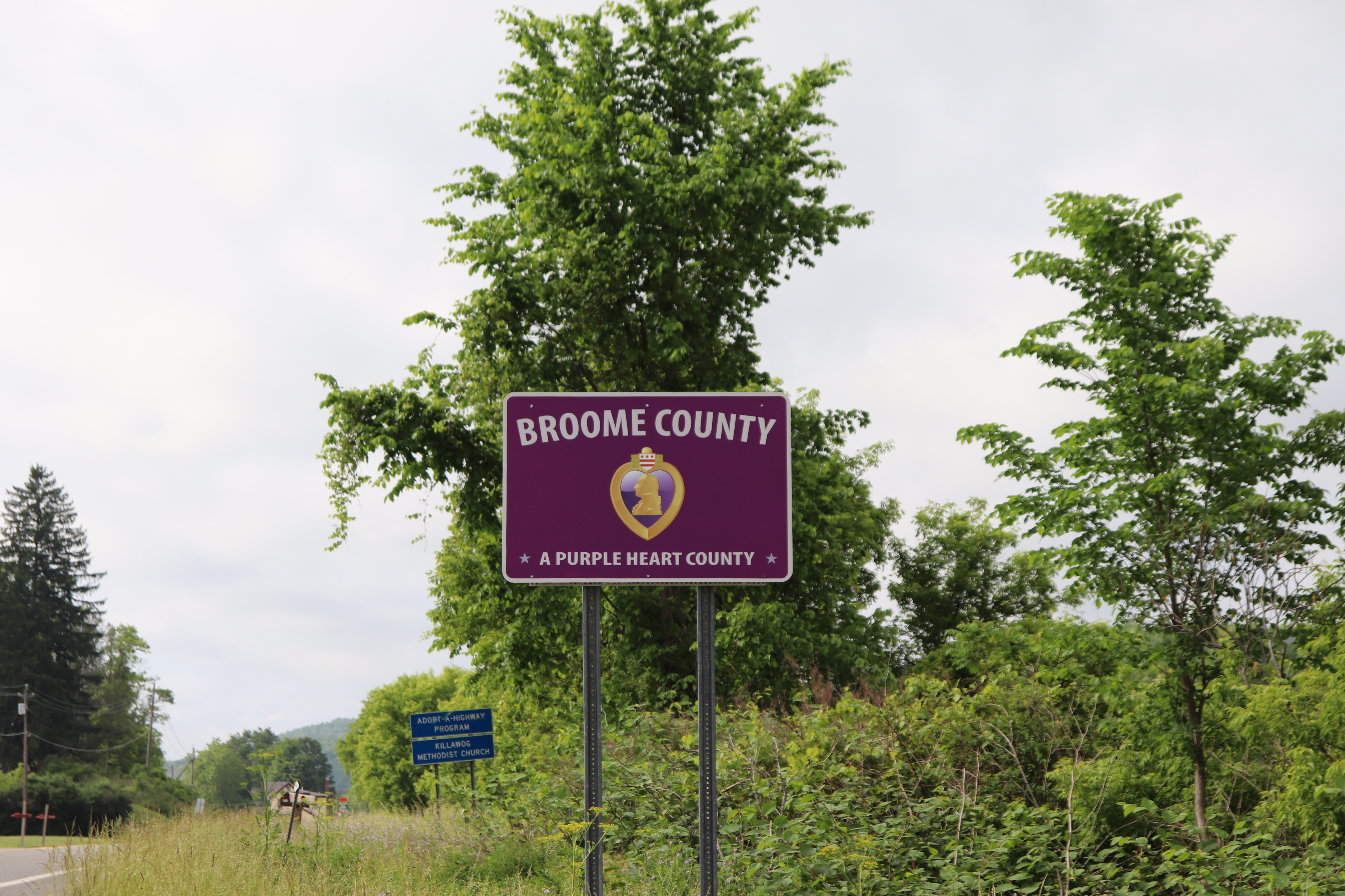 Broome County Welcomes Array of New Businesses This Summer